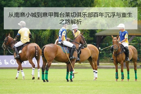 从南意小城到意甲舞台莱切俱乐部百年沉浮与重生之路解析
