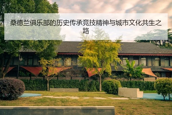 桑德兰俱乐部的历史传承竞技精神与城市文化共生之路