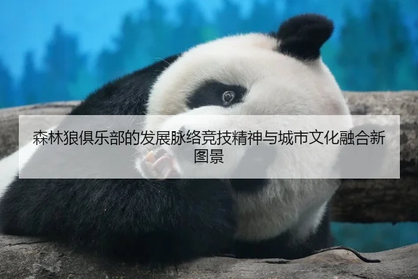 sen-lin-lang-ju-le-bu-de-fa-zhan-mai-luo-jing-ji-jing-shen-yu-cheng-shi-wen-hua-rong-he-xin-tu-jing-2-811.jpg