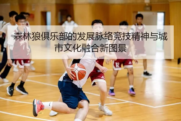 森林狼俱乐部的发展脉络竞技精神与城市文化融合新图景