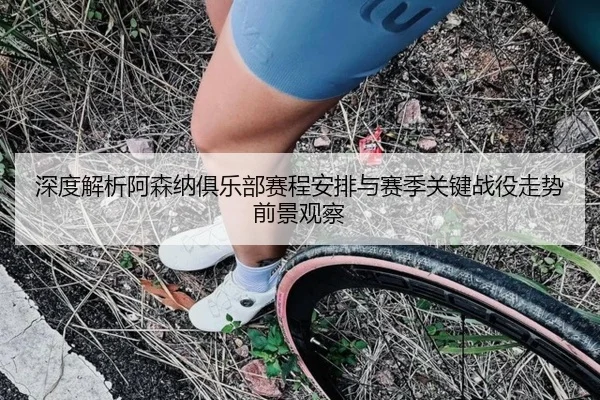 shen-du-jie-xi-a-sen-na-ju-le-bu-sai-cheng-an-pai-yu-sai-ji-guan-jian-zhan-yi-zou-shi-qian-jing-guan-cha-2-463.jpg