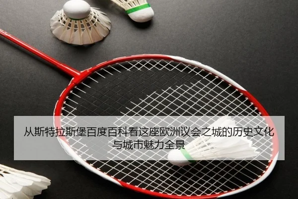 从斯特拉斯堡百度百科看这座欧洲议会之城的历史文化与城市魅力全景