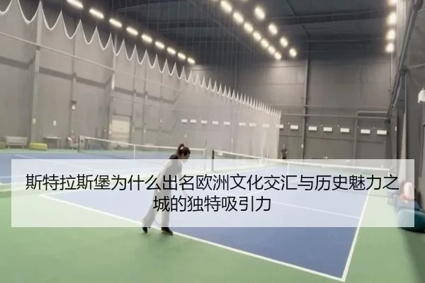 斯特拉斯堡为什么出名欧洲文化交汇与历史魅力之城的独特吸引力